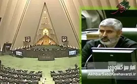 نطق آتشین نماینده تاکستان در مجلس؛ از کاهش سهمیه سوخت تراکتورها تا هشدار درباره خیانت به امنیت غذایی+ ویدئو