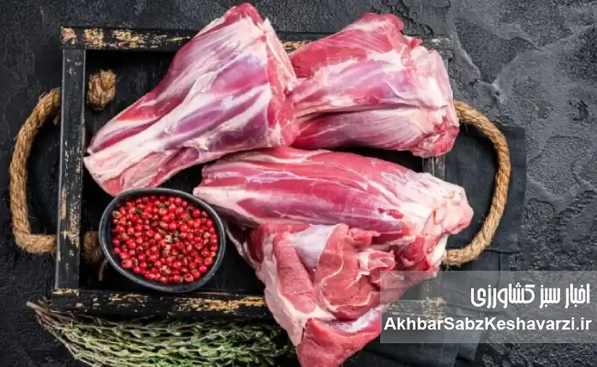 گوشت گران، دام ارزان؛ معمایی به نام توزیع که سفره‌ها را کوچک کرد