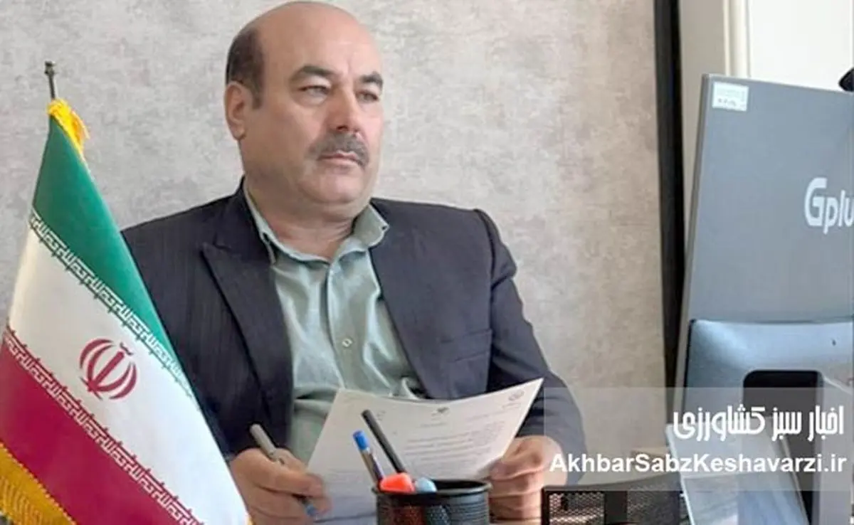 ورشکستگی حکمرانی