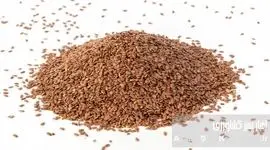 راز برداشت پربار: شاخصه‌های انتخاب بذر مرغوب چیست؟