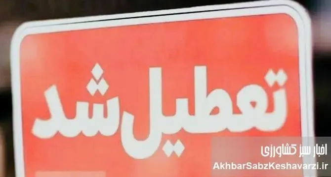 تعطیلی یک هفته‌ای تابستان؛ هدیه‌ای خاص فقط برای کارمندان دولت!