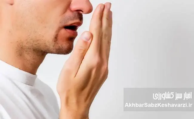 بوی بد دهان در محل کار؛ محیطی سالم‌تر با نفس‌های تازه‌تر