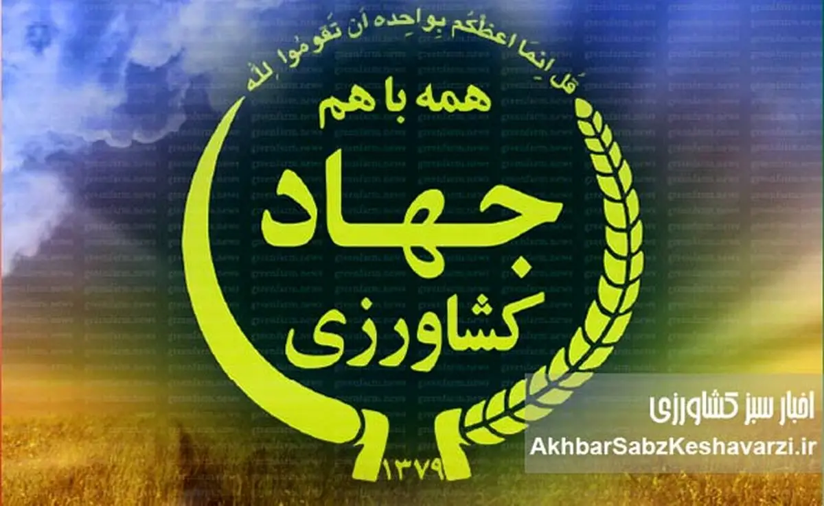 نفوذ فساد در قلب امنیت غذایی؛ چگونه محکوم اختلاس به رأس مدیریت کشاورزی رسید؟