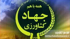 نفوذ فساد در قلب امنیت غذایی؛ چگونه محکوم اختلاس به رأس مدیریت کشاورزی رسید؟