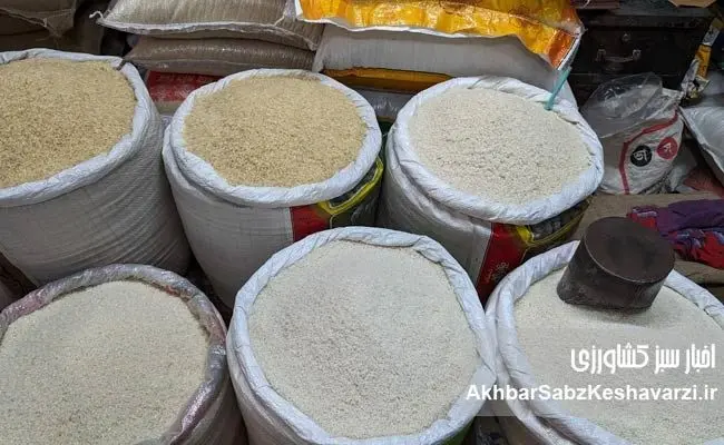  قیمت برنج پیش از رمضان؛ سفره‌ها زیر فشار موج گرانی