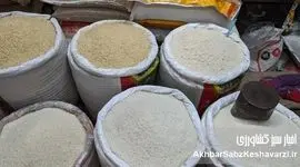  قیمت برنج پیش از رمضان؛ سفره‌ها زیر فشار موج گرانی