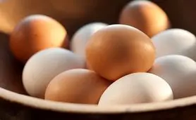 تخم‌مرغ، غذایی کامل یا عامل مرگ زودرس؟

