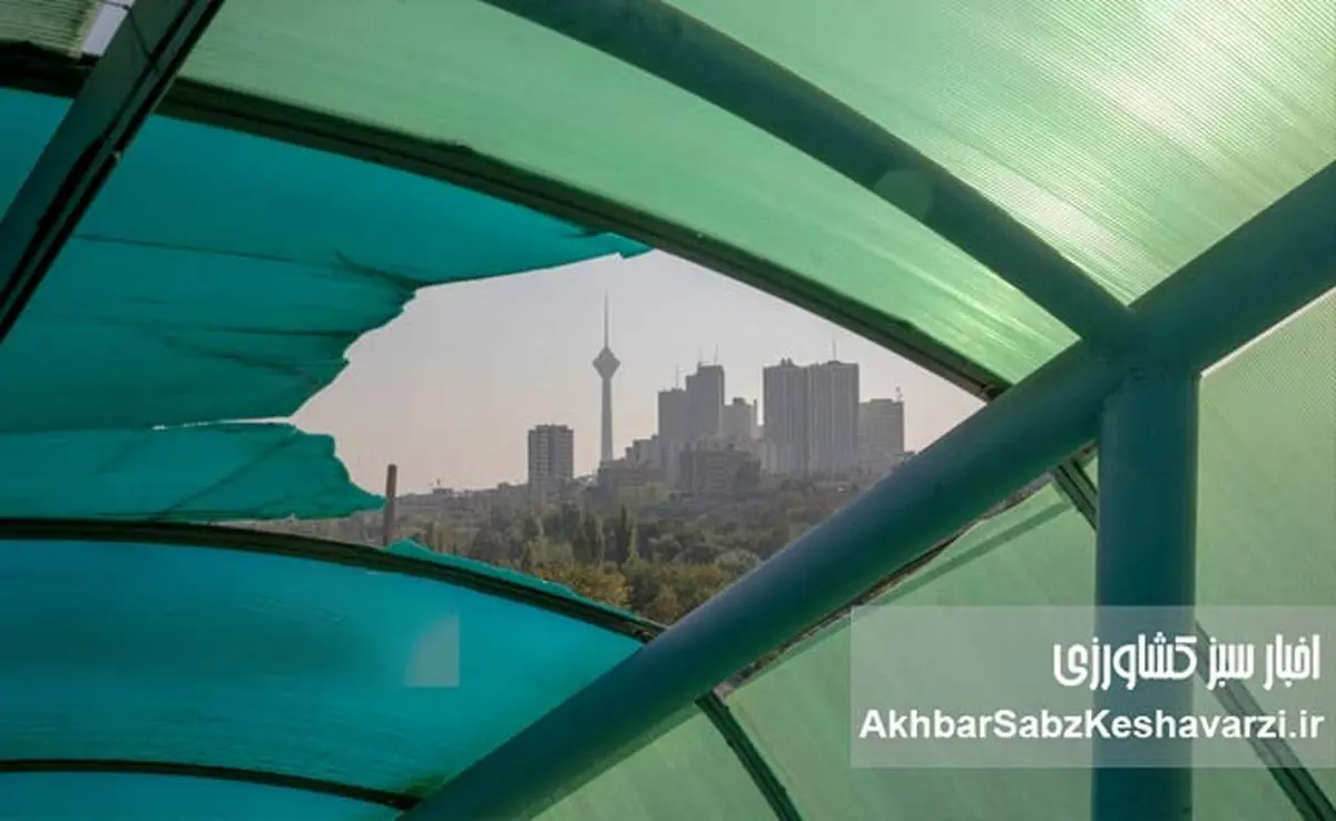 حق با کدام دستگاه است؟ جدال تازه بر سر منبع آلودگی هوا در تهران