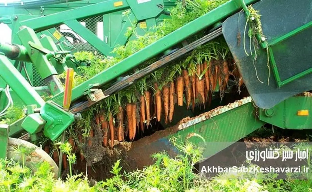 انقلاب خاموش در مزارع؛ ماشین‌ها آینده کشاورزی را درو می‌کنند+ویدئو