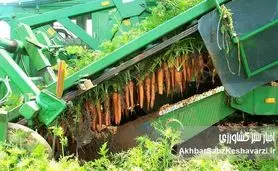 انقلاب خاموش در مزارع؛ ماشین‌ها آینده کشاورزی را درو می‌کنند+ویدئو