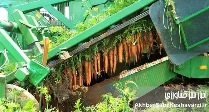 انقلاب خاموش در مزارع؛ ماشین‌ها آینده کشاورزی را درو می‌کنند+ویدئو
