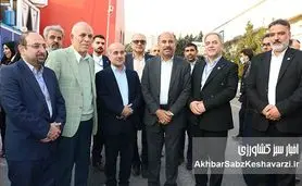 عبدالعلی‌زاده: جهش شیلات در گرو گسترش حمایت از بخش خصوصی و رفع تنگ‌نظری‌های دولتی