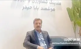بدون هوشمندسازی کشاورزی، تولید احیا نمی‌شود+ ویدئو