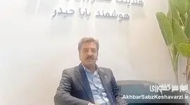 بدون هوشمندسازی کشاورزی، تولید احیا نمی‌شود+ ویدئو