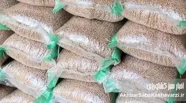 فاجعه در کمین «صادرات نخود» ایران؟ هشدار کارشناسان: کشور از بازارهای جهانی حذف می‌شود!