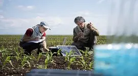 معاون نخست وزیر چین بر نوآوری علمی و فناوری در کشاورزی تأکید کرد