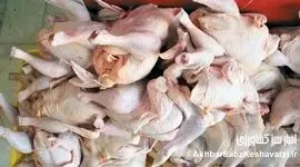 مرغ ارزان شد، اما بازار جان نگرفت؛ چرا مردم نمی‌خرند؟