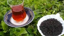 چای را چه زمانی مصرف کنیم؟+ ویدئو

