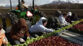 حال، زمان مناسبی برای تأسیس وزارت کشاورزی آلاسکا است