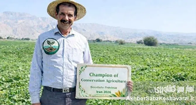 قهرمان خاک و آب در بوشهر؛ محمدرضا رجبی و کشاورزی حفاظتی