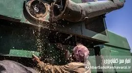 مرگ خاموش ۳۰۰ هزار تن گندم: کمباین‌های فرسوده، قاتل نان ۲ میلیون ایرانی