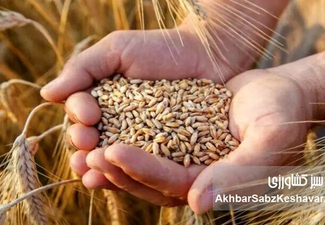 چگونه کشاورزی داخلی می‌تواند فشار بحران و جنگ را کاهش دهد؟