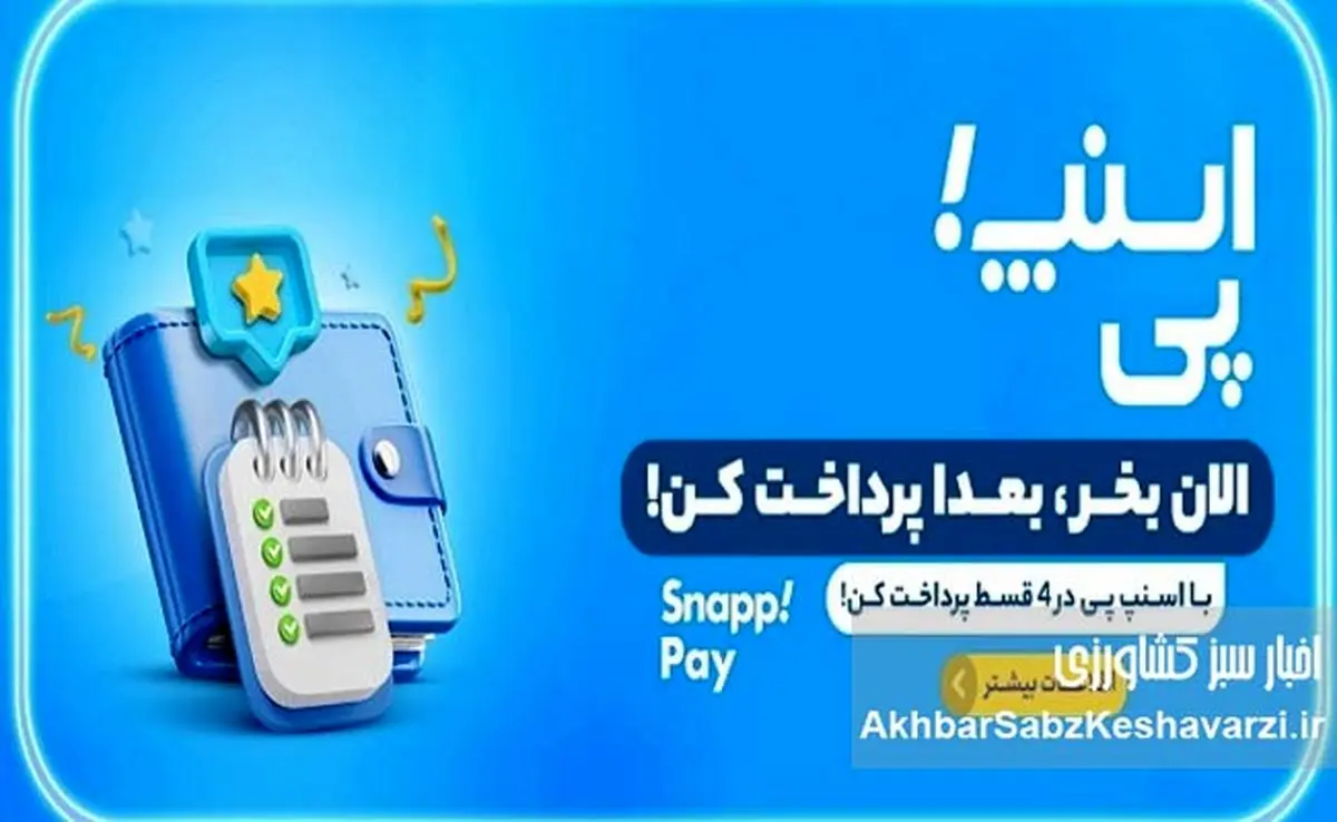 حذف ناگهانی «اسنپ‌پی» کاربران را شوکه کرد؛ پایان خرید اعتباری؟