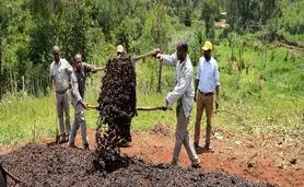 اتیوپی، احیای خاک و بهبود معیشت کشاورزی
