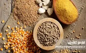 کاهش هزینه تولید دام با ورود ضایعات کشاورزی به چرخه خوراک