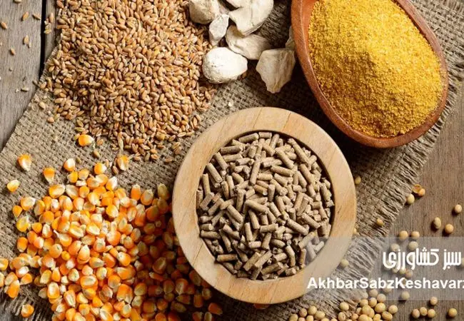 کاهش هزینه تولید دام با ورود ضایعات کشاورزی به چرخه خوراک