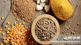 کاهش هزینه تولید دام با ورود ضایعات کشاورزی به چرخه خوراک