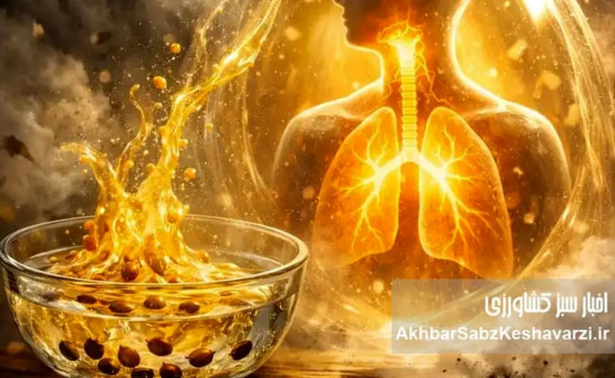 جادوی «به‌دانه» برای ریه‌های خسته در روزهای بحران