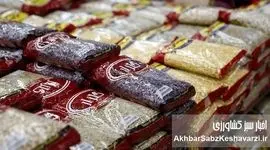 حبوبات روی موج گرانی؛ پروتئینِ فقرا هم از سفره‌ها دور می‌شود؟