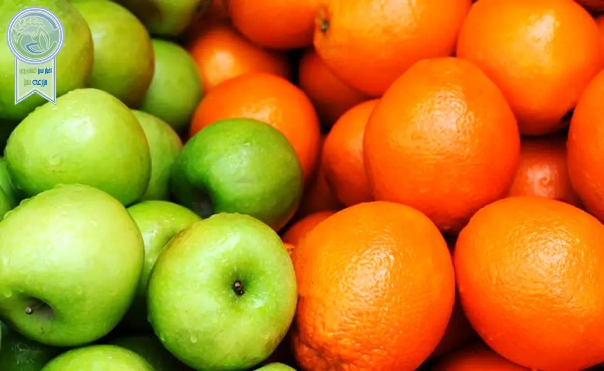 افزایش جزئی قیمت سیب و پرتقال در نوروز

