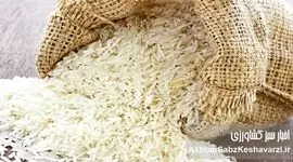 گرانی لبنیات و برنج؛ هشدار برای سفره ایرانی