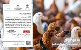 بحران نهاده دامی در دامغان: هشدار رسمی جهاد کشاورزی؛ خوراک مرغداری‌ها فقط برای ۴ روز باقی است