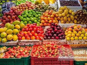 افزایش کم‌سابقه قیمت محصولات کشاورزی در بازار جهانی
