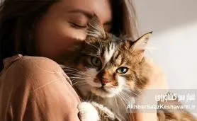 چالش‌های متعدد نگهداری حیوانات خانگی در ایران