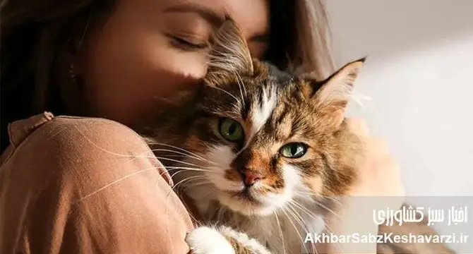 چالش‌های متعدد نگهداری حیوانات خانگی در ایران