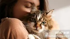 چالش‌های متعدد نگهداری حیوانات خانگی در ایران