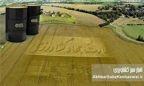 به استقبال نفت در برابر غذا
