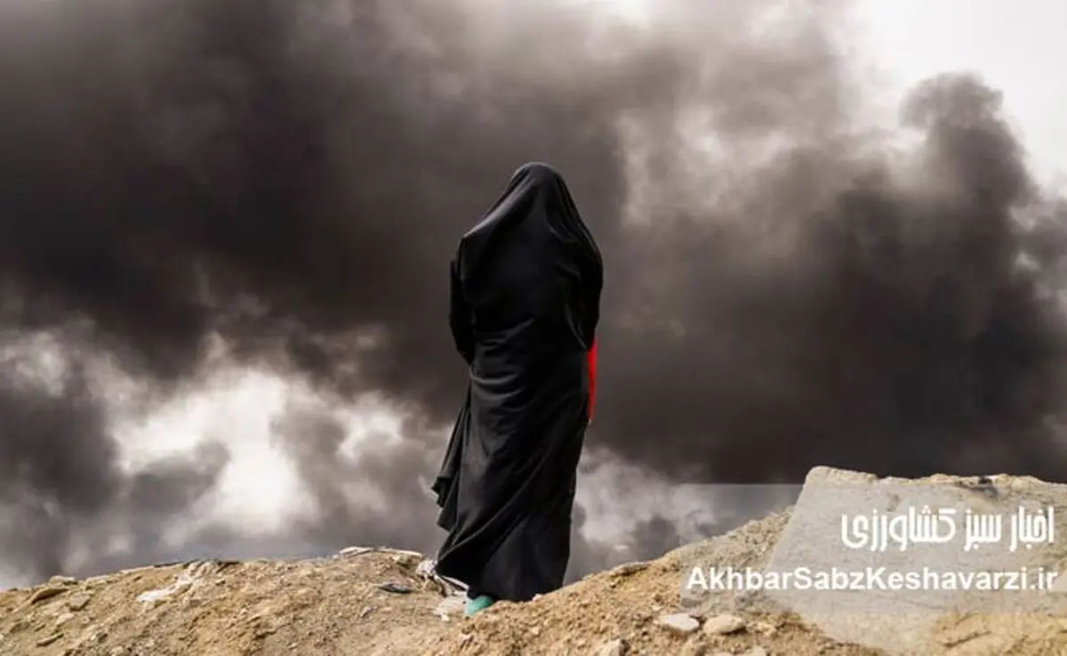 نقض توافقنامه‌های محیط‌زیستی در جنگ؛ زنگ خطر برای طبیعت