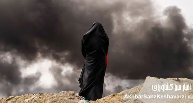 نقض توافقنامه‌های محیط‌زیستی در جنگ؛ زنگ خطر برای طبیعت