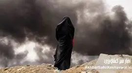 نقض توافقنامه‌های محیط‌زیستی در جنگ؛ زنگ خطر برای طبیعت