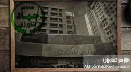 ضرورت بازنگری اساسی در شاخص‌های دولتی و تغییر رویکرد مدیران