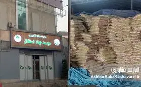 ۶۰ هزار تن برنج تعزیراتی؛ گزارش رسمی از پرونده جهاد استقلال+ نامه