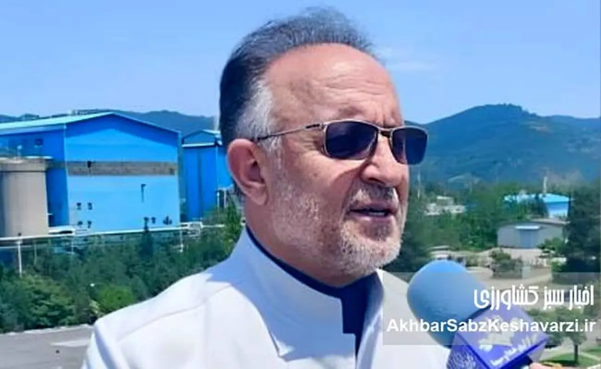 صنایع چوب و کاغذ مازندران در چنگال مالیات: ۱۷۰ میلیارد ریال برداشت ناگهانی، قلب تولید را فشرد!