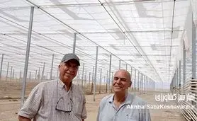 گلخانه‌ای متحول با صرفه‌جویی انرژی: رویای یک کشاورز لرستانی در ازنا+ ویدئو