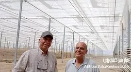 گلخانه‌ای متحول با صرفه‌جویی انرژی: رویای یک کشاورز لرستانی در ازنا+ ویدئو
