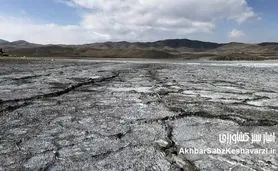 مهاجرت، سرطان و خشونت؛ فاجعه‌ای که در سکوت رخ می‌دهد